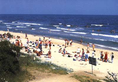 Sandstrand Skåne.jpg